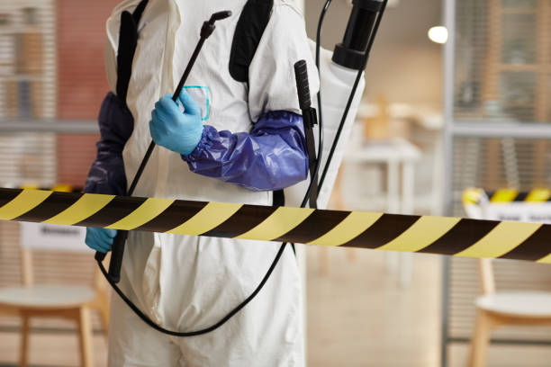 Professional Biohazard Cleanup technician working in Bainbridge Island, WA